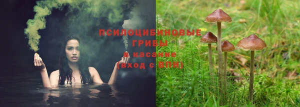 соль ск Ладушкин
