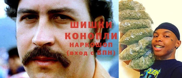 соль ск Ладушкин