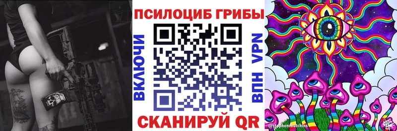 Псилоцибиновые грибы Cubensis  Купить  Исилькуль 
